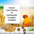 thumbnail image 4 of Lafeber Classic Nutri-Berries Conure Food  10 oz, 4 of 4