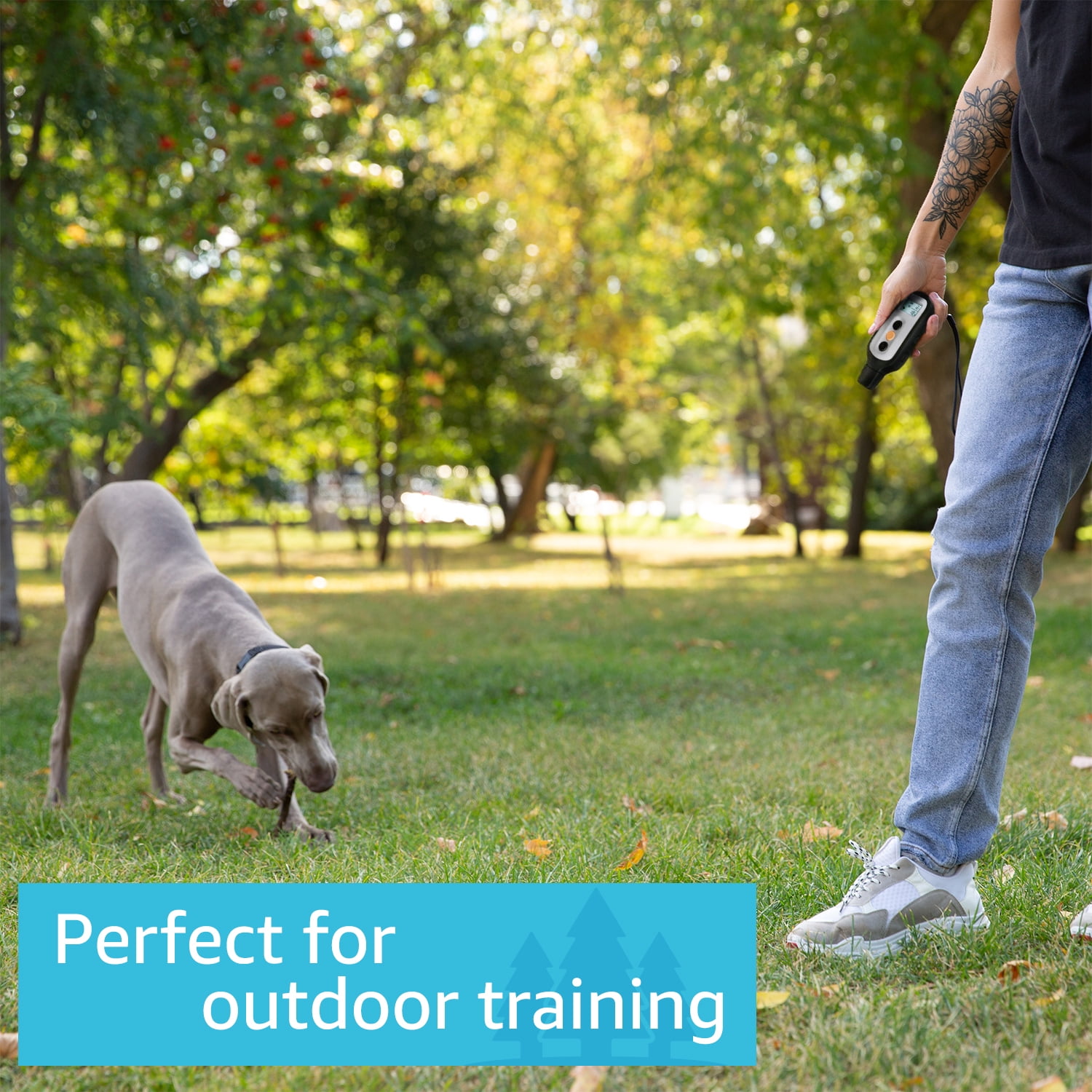 PetSpy X-Pro Dog Training Shock Collar for Dogs with Remote, Fully Waterproof Vibration and Beep Electric Trainer, Small to Large Dogs