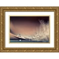 thumbnail image 1 of Doronin, Dmitry 18x13 Gold Ornate Wood Framed with Double Matting Museum Art Print Titled - Stories of Drops, 1 of 4