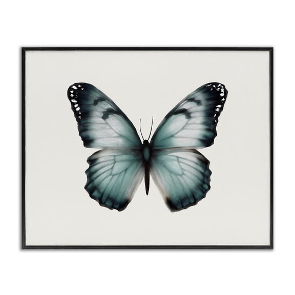 Stupell Industries Transitional Teal Symmetrical Butterfly Black Framed Giclee Art, 14 x 11, by Elizabeth Medley