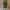 Army Green, variant on Girls Sherpa Fleece Jackets Fuzzy Warm Winter Long Cardigan Jackets Button Coat Long Sleeve Outwear with Pockets Comfortable Fall Winter Warm Clothes Tops Clearance