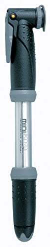 dual bike pump