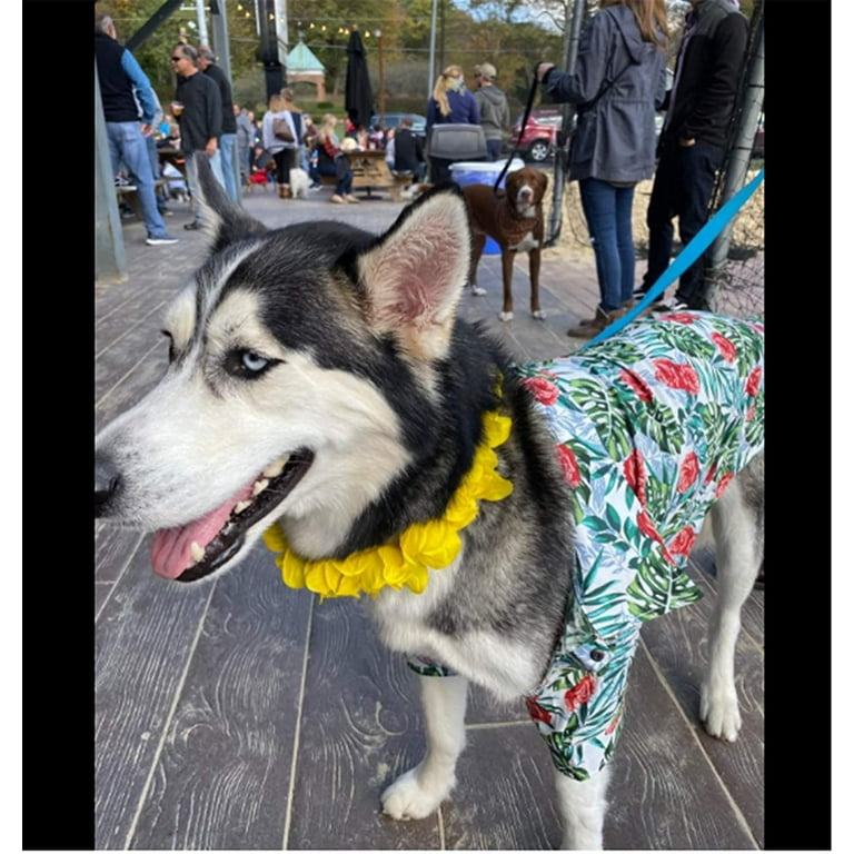 Large breed cheap dog shirts