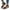 White, variant on Hvyesh Gladiator Sandals for Women Dressy Summer Clip Toe Sandals Comfy Hollow Out Sandals Walking Breathable Sandal Size 7.5