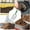 Green, variant on Portable Stainless Steel Garden Sieve with Comfort Handle, 2.8mm Mesh Compost Soil Sand Filter Sifting Tool for Backyard Planting Potting Mix Screening