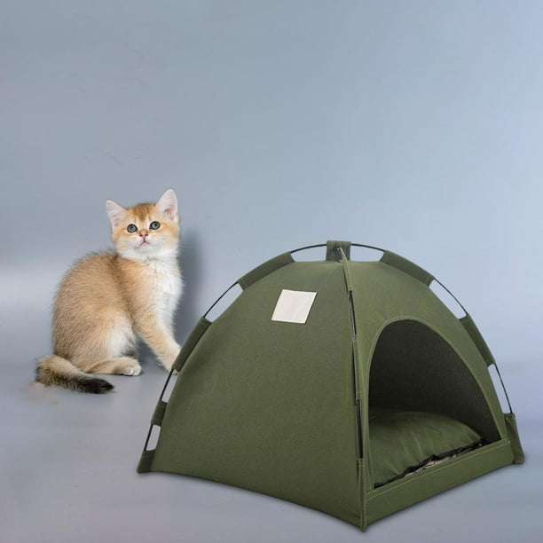 Pop up outdoor cheap cat tent