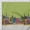 Light Green, variant on Soimoi Cotton Duck Fabric Buildings Panel Print Fabric by The Yard 42 Inch Wide