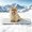 Grey, variant on GOOPAWS Dog Cooling Mat, 24" x 18" Non-Slip Self-Cooling Summer Pet Mat for Indoor Outdoor Kennel Floor Use