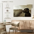 thumbnail image 5 of Elephant Stock Black Lab At The Beach Wall Art - Horizontal Canvas Wall Art - Living Room Wall Decor - Animal Canvas - Black And Brown Decor By Jim Dratfield - 12" x 8", 5 of 8
