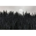 thumbnail image 2 of The Yellowstone Collection 32x23 Gold Ornate Wood Framed with Double Matting Museum Art Print Titled - Sun through the Fog, Yellowstone National Park, 2 of 4