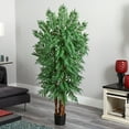 thumbnail image 3 of Nearly Natural 5.5' Parlour Artificial Palm Tree, Green, 3 of 4