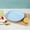 Light Blue, variant on Qnjujn Dinner Plates Set, Shatterproof Microwave Dishwasher Safe Reusable Plates, Lightweight Stackable Dinner Trays for Kitchen Camping Party Outdoor Dining, Durable Melamine Plates