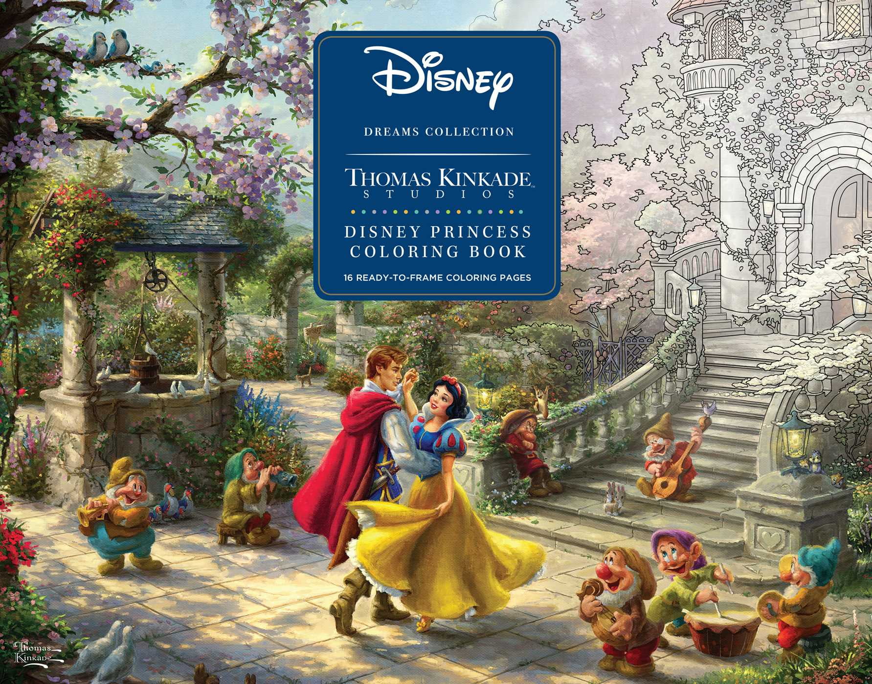 Disney Dreams Collection Thomas Kinkade Studios Disney Princess