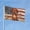 Dachshund, variant on American Patriotic Eagle Garden Flags for Outside 3x5 Ft Large House Flag Housewarming Gift Flag Double Sided Nature Bald Eagle Flags Gifts for Men Women Eagle Lovers House Yard Outdoor Patio Decor