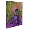 thumbnail image 2 of Trademark Fine Art "Peacock Candy III" Canvas Art by Color Bakery, 2 of 3