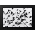 thumbnail image 2 of Yushina, Marina 24x17 Black Modern Framed Museum Art Print Titled - Birds, 2 of 5