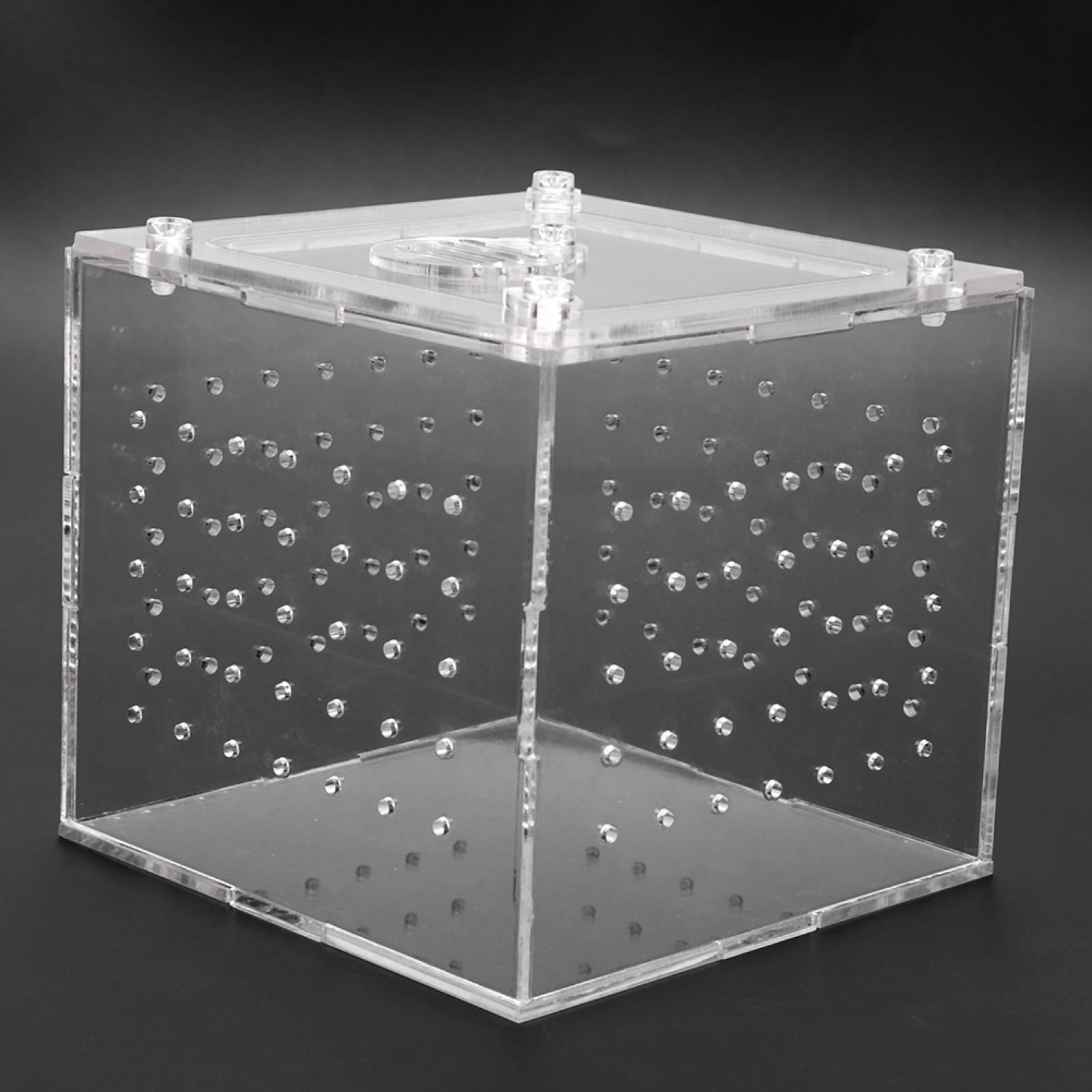 Sturdy Cover Breeding Box, Reptile Breeding Box, Crickets For Geckos