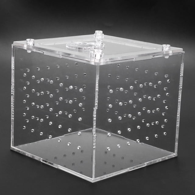 Reptile Enclosure, Reptile Terrarium Spider Enclosure 3.9x3.9x3.5in Acrylic Transport Spider Terrariums Breeding Box Feeding Box for Tarantulas Geckos Crickets Insects