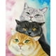 thumbnail image 1 of Kit de pintura por números de tres gatos, pintura acrílica DIY sobre lienzo, 1 of 9