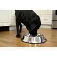 thumbnail image 4 of Iconic Pet 2-Pack Slow Feed Stainless Steel Pet Bowl For Dog or Cat, Large, 48 Oz, 4 of 13