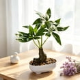 thumbnail image 5 of EDHITNR Artificial Money Tree Bonsai Mini Plastic Green with White Pot Faux Potted for Desk Shelf Decor, Realistic Leaf Texture Small Potted Bonsai Indoor Ornament, 5 of 6