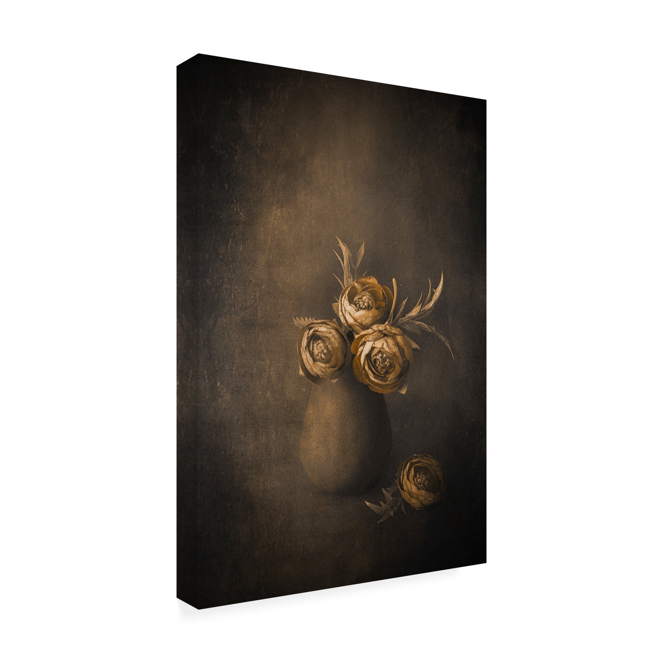 Canvas Wall Art - Cicek Kiral 'Fantasy' Wall Art for Living Room, Bedroom, or Office Décor by Trademark Fine Art - 30 x 47 Inches