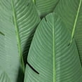 thumbnail image 3 of Nearly Natural 12ft. Artificial Travelers Palm Tree, 3 of 8