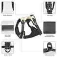 thumbnail image 6 of Fotbe Vegan Fruit Carrot Pattern Dog Harness, No-Pull Pet Harness with 2 Leash Clips, Adjustable Soft Padded Dog Vest with Easy Control Handle for Large Dogs-Large, 6 of 6