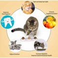 thumbnail image 4 of Juguetes de hierba gatera, bolas de hierba gatera comestibles, hierba gatera segura y saludable, juguetes de caza para la familia de gatos, dientes limpios, protección del estómago JAMW Sencillez, 4 of 5