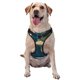 thumbnail image 1 of Balery World Map Arnés para Perros Grandes Antitirones, Arnés con Correa para Gato, Arnés Tipo Chaleco para Perros Pequeños-Large, 1 of 6