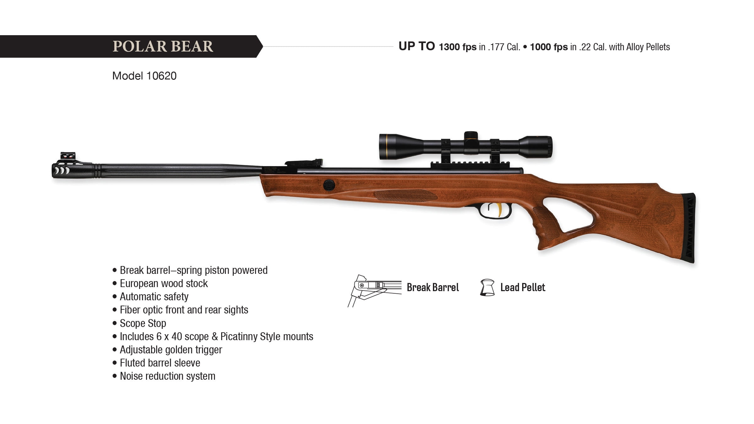 Beeman  10620 Polar Bear .177 Air Rifle Combo with Wood Stock and 6 x 40 Scope