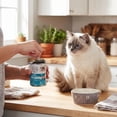 thumbnail image 5 of Special Kitty Classic Variety Pack Pate Cat Food, 13 oz Cans, 12 Pack, 5 of 15