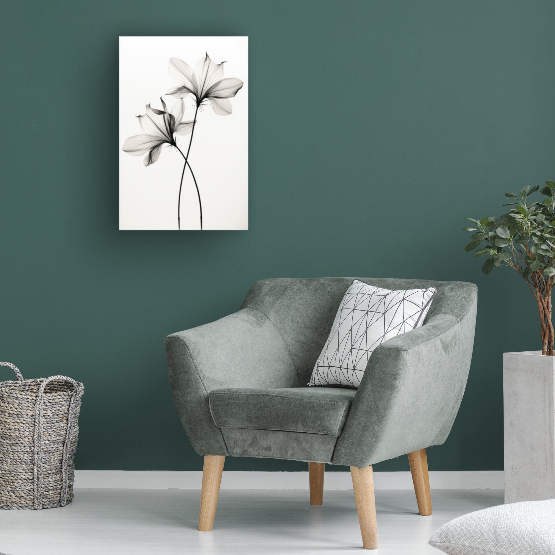 Trademark Fine Art Treechild Transparent Botanic No 6 Canvas Wall Art