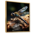 thumbnail image 2 of Designart "Portrait Vibrant Brown Dragonfly painting" Animals Floater Framed Canvas Wall Art, 2 of 7
