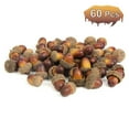 thumbnail image 3 of 60pcs Artificial Lifelike Simulation Small Acorn Set Decoration False Nuts Home Kitchen Decor, 3 of 6