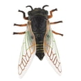 thumbnail image 2 of Juguete de modelo de animal perfecl material didáctico de ciencia escolar, 2 of 8
