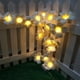 thumbnail image 3 of Led, Lámpara Frangipani, Luz De Hadas De Flores Para Decoración Del Hogar, Cortina De Luces De Hadas Para Dormitorio, Luces De Hadas Impermeables Para Exteriores Speravity HA046030-02, 3 of 6
