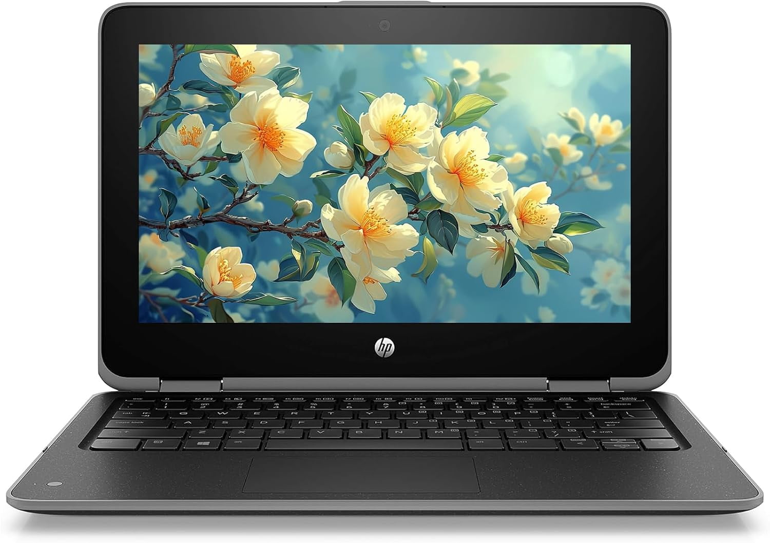 HP Pavilion x360 Laptop 11m-ad113dx - Flip design - Intel Pentium