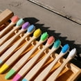 thumbnail image 5 of Organic Baby Bamboo Toothbrush | Four Colours | Soft Fibre Bristles, 5 of 5