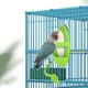 thumbnail image 3 of 2 uds comedero para pájaros al aire libre comedero para pájaros colgante alimentador para loros dispensador de comida para pájaros dispensador de semillas para pájaros al aire libre Rojo Verde MX-0128516FYD, 3 of 5