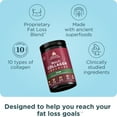 thumbnail image 2 of Ancient Nutrition Advanced Hydrolyzed Collagen Peptides Powder Protein Lean with Probiotics and Vitamin C, Cinnamon, for Women & Men, Supports Healthy Weight Management & Muscle Building, 25 Servings, 2 of 8