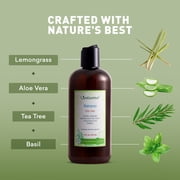 Just Nutritive Hydrating & Clarifying Shampoo for Oily Hair, Tea Tree Cleanser, Sulfate-Free, 16 oz