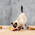 thumbnail image 2 of Pawsible 5 Pack Foodie Cat Toy Set, 100% Premium Cat Herb Filling, Natural Stimulation for Cats, Durable for Teething, Perfect Kitte, 2 of 5