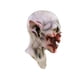 thumbnail image 4 of Máscara Caretas REV Ghoulish Productions KURTEN, 4 of 4