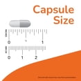 thumbnail image 3 of Now Foods, "3" Gelatin Caps, Extra Small Size, Approx. 1,000 Empty Gelatin Capsules, 3 of 6