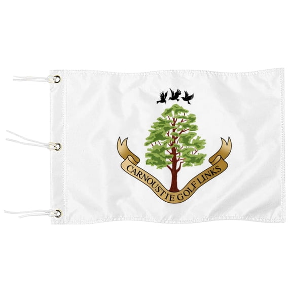 DianYu Carnoustie Golf Links Golf Pin Flag Practic Putting Green Golf Flag For Backyard Garden  Miniature Pin Flag with Three Brass Grommets 20x13Inch