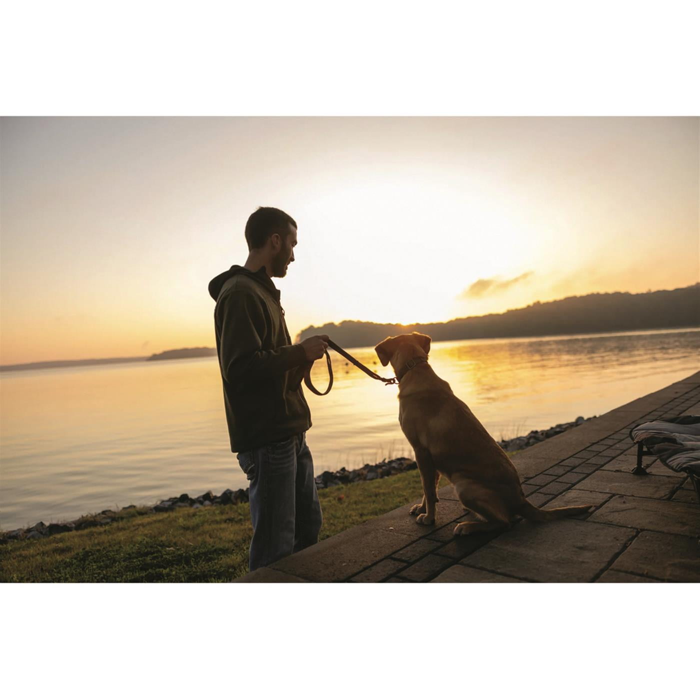 MOmarsh Adjustable Dog Leash Cypress Green