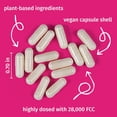 thumbnail image 3 of LactoJoy Forte 28,000 FCC - Lactase Capsules with Sustained Enzyme Activity for Up to 6 Hours - 140 Vegan Capsules Refill Pack - Fast-Acting Long-Lasting Lactase - No Additives - Made in Germany, 3 of 9
