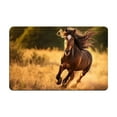 thumbnail image 2 of Fmbmuo Multicolor Entryway Rug Rectangle Horse Print Waterproof indoor/Outdoor Decorations, Absorbent Non-Slip Modern Floor Mats 16 x 24 inch, 2 of 5