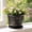Yellow #3, variant on Plastic Flower Pots for Outdoor Plants | Sun Protection Garden Planters with Drainage Tray | Thickened Flowerpot for Home Patio Balcony Decor | Indoor Outdoor Container for Flowers Vegetables